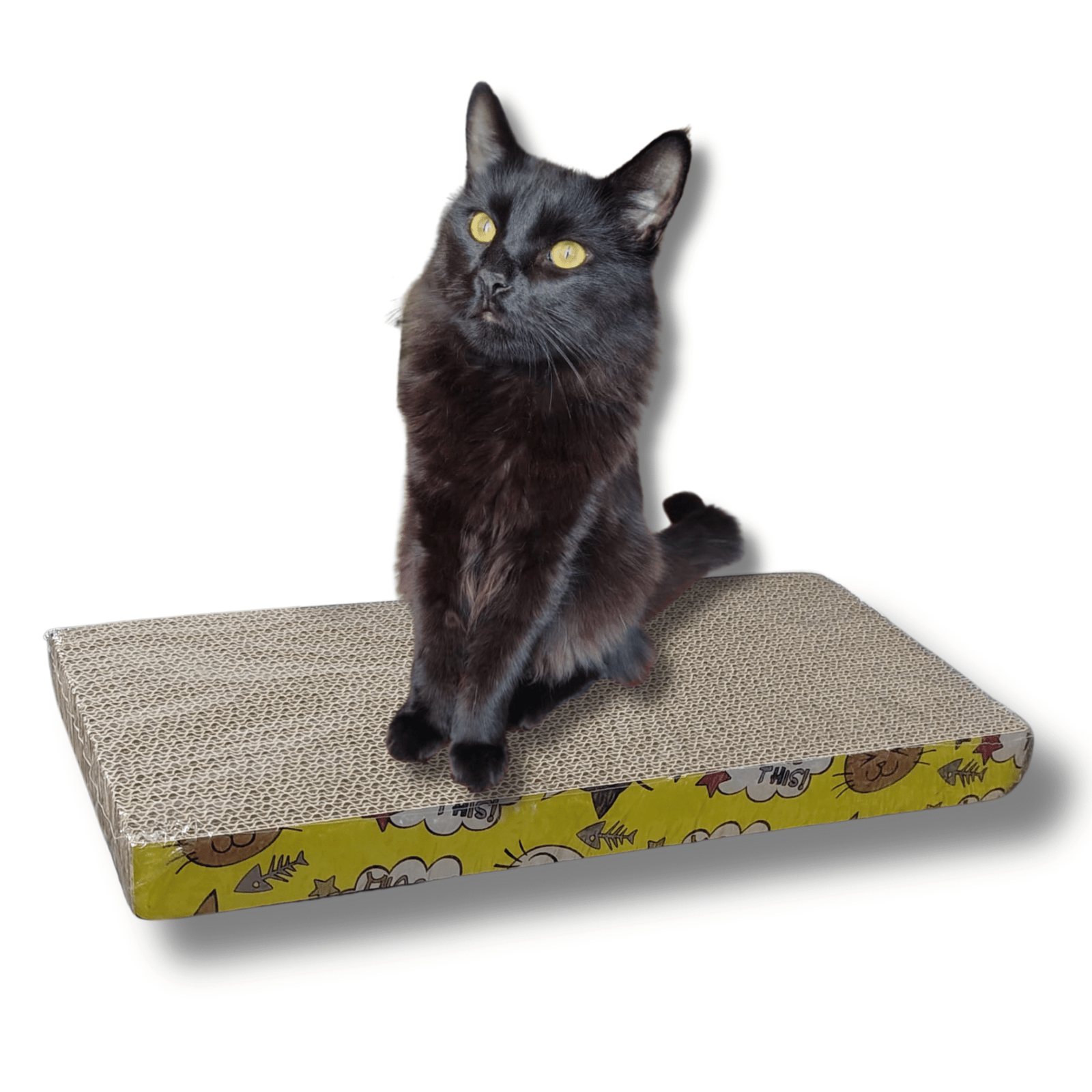 Rascador de cartón corrugado para gatos