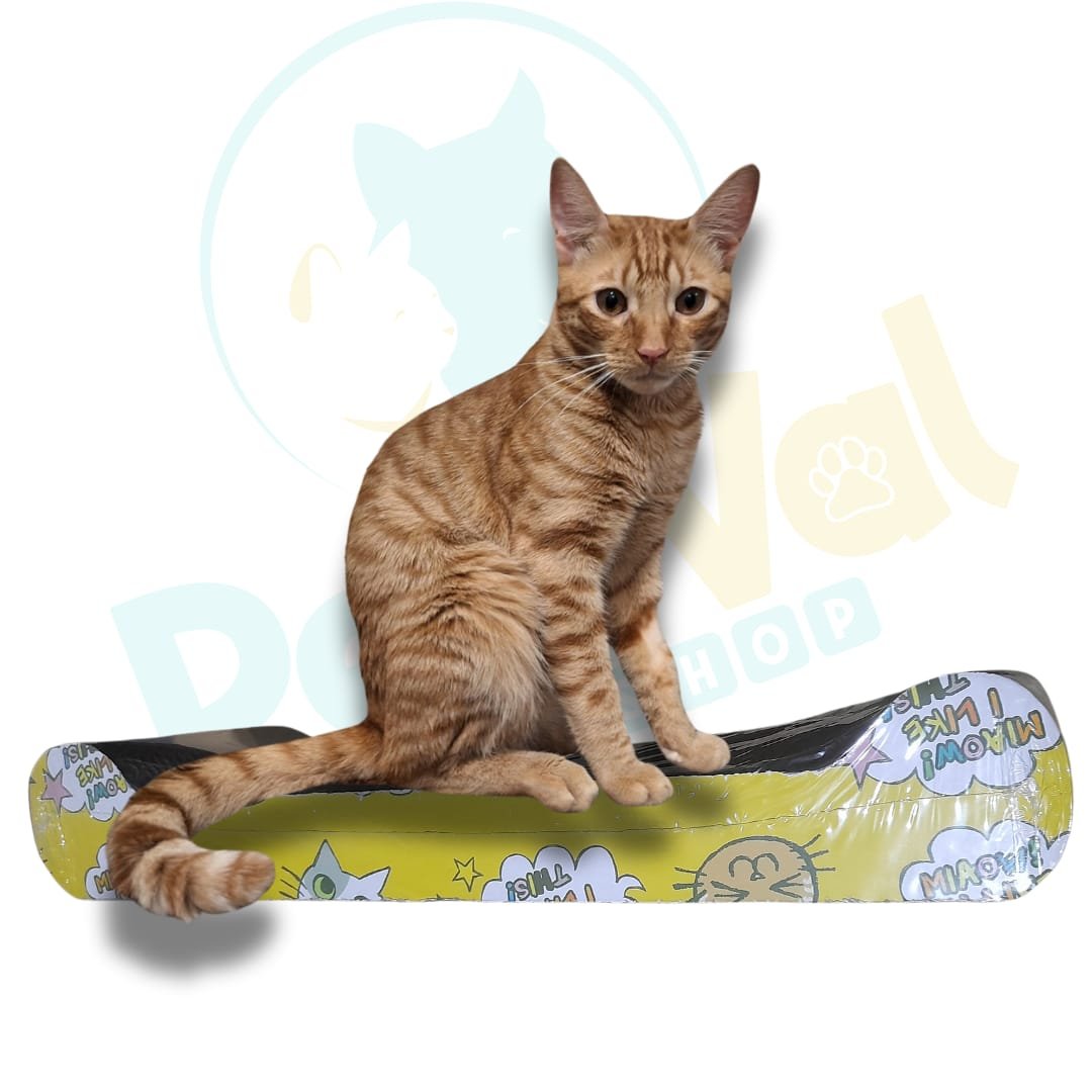 Rascadores para gatos