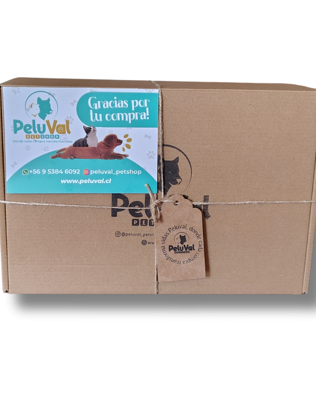 Mi Kit Peluval😺 Peludito/ Caja Pequeña - 🚨 Envío GRATIS 🚗R.M - Imagen 2