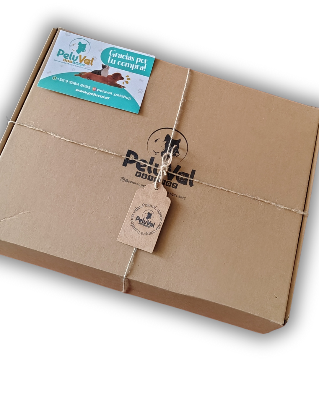 Mi Kit Peluval😺 Peludito/ Caja Pequeña - 🚨 Envío GRATIS 🚗R.M - Imagen 3