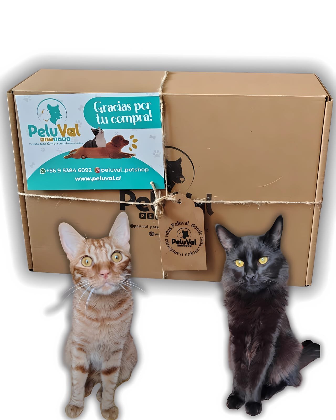 Mi Kit Peluval😺 Peludito/ Caja Pequeña - 🚨 Envío GRATIS 🚗R.M
